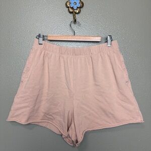 Aerie High Waisted Shorts- Large